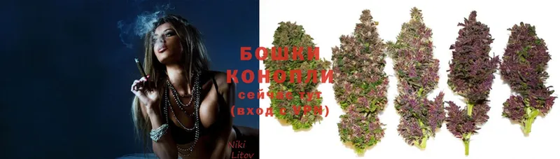 купить наркотики сайты  Железноводск  Бошки марихуана Ganja 